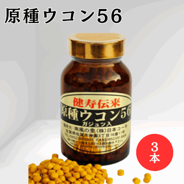 【3本セット】原種ウコン56