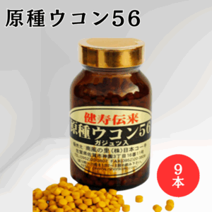 【9本セット】原種ウコン56