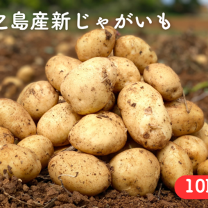 【予約受付中】徳之島産 赤土じゃがいも 10kg 新じゃが 送料別 ミネラル豊富 春一番 産地直送